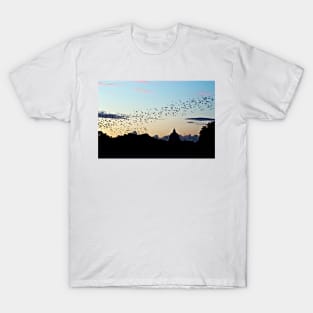 Murmuration Starlings Flock Birds Sunset Rome Italy T-Shirt